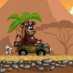 Wildlife Puzzle Challenge