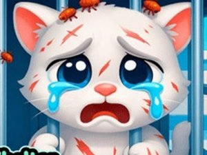 Animal Shelter Care Game