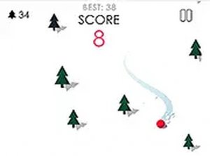 Winter Slope Roll