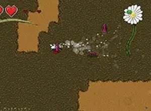 Cordyception: Infected Ant Survival