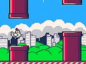 Chicken Sky Path