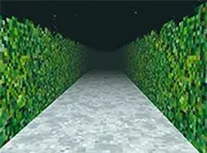 Mystery Gift Maze Adventure