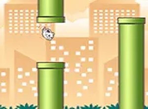Winged Kitten Obstacle Run