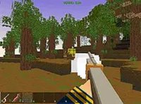 Pirates Voxelplay Survival Adventure